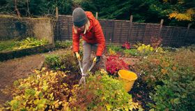 Garten fit machen für den Herbst: So helfen Sie der Natur